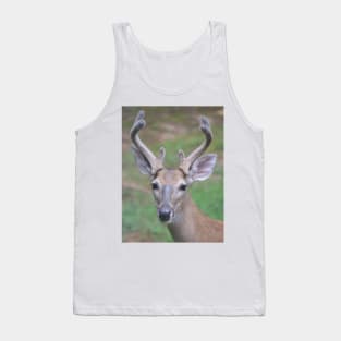 Antler Boy - white tailed deer Tank Top